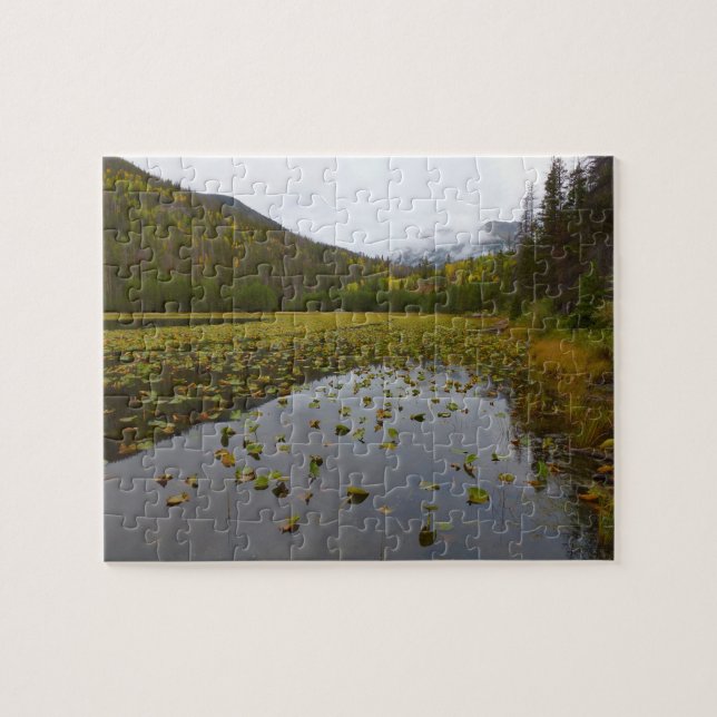 Höstfärg vid Cub Lake Pussel (Horisontell)