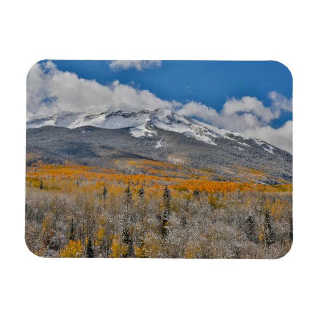 Höstfärger Aspens &  | Klippiga bergen, Colorado Magnet (Horisontell)