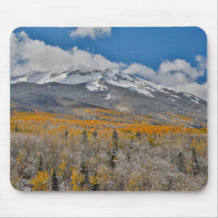 Höstfärger Aspens & Klippiga bergen, Colorado Musmatta