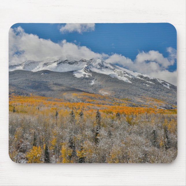 Höstfärger Aspens &  | Klippiga bergen, Colorado Musmatta (Framsidan)