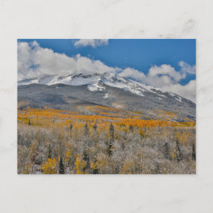 Höstfärger Aspens & Klippiga bergen, Colorado Vykort