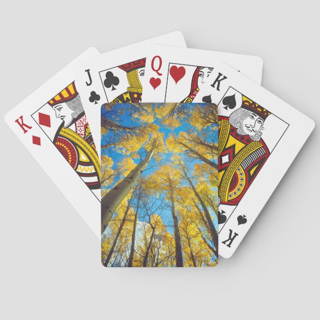 Höstfärger av asp 2 casinokort (Baksidan)