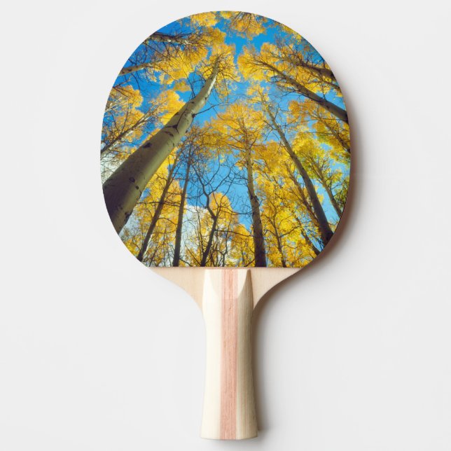 Höstfärger av asp 2 pingisracket (Framsidan)