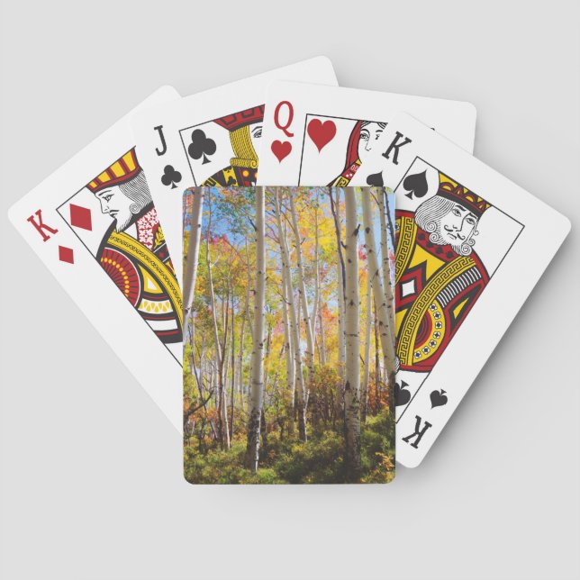 Höstfärger av asp 5 casinokort (Baksidan)
