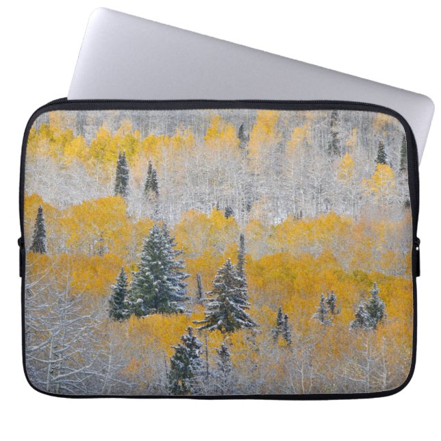 Höstfärger av asp och färsk snö Keebler Pass Laptop Fodral (Framsidan)