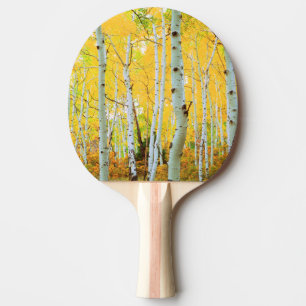 Höstfärger av Aspen-träd 1 Pingisracket