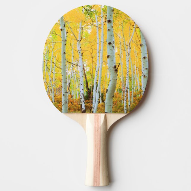 Höstfärger av Aspen-träd 1 Pingisracket (Framsidan)