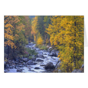 Höstfärger av skogar i The Cascade 6 Hälsningskort