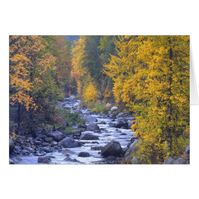 Höstfärger av skogar i The Cascade 6 Hälsningskort (Framsidan Horizontal)