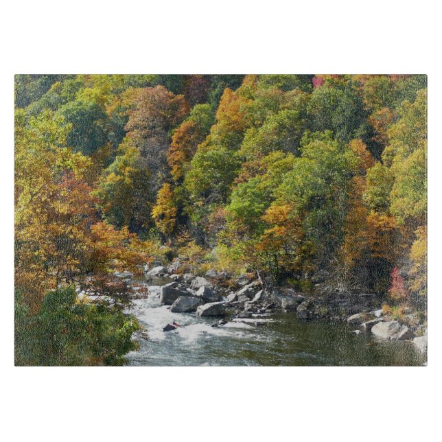 Höstfärger i Ohiopyle State Park (Framsidan)