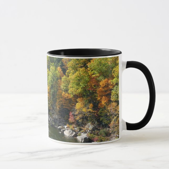 Höstfärger i Ohiopyle State Park Mugg (Höger)