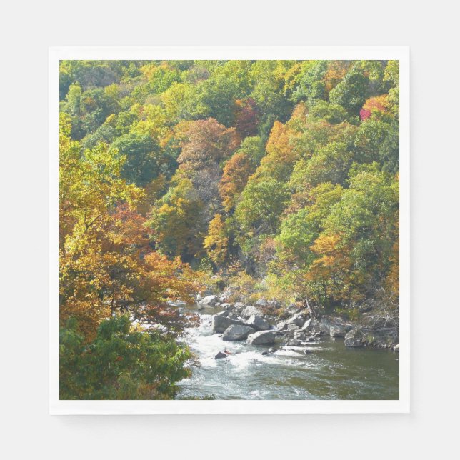 Höstfärger i Ohiopyle State Park Pappersservett (Framsidan)