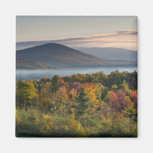 Höstfärger i White Mountains Magnet