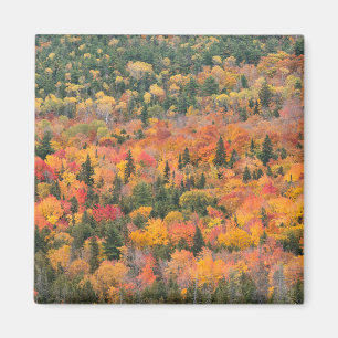 Höstfärger Keweenaw-halvön, Michigan Magnet
