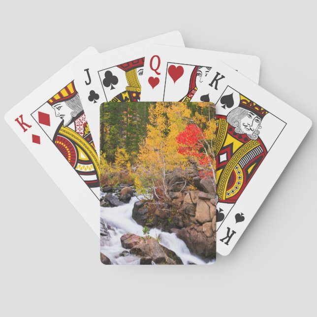 Höstfärger längs Bishop Creek, CA Kortlek (Baksidan)