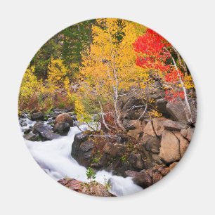 Höstfärger längs Bishop Creek, CA Magnet