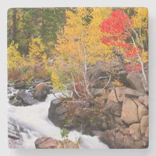 Höstfärger längs Bishop Creek, CA Stenunderlägg