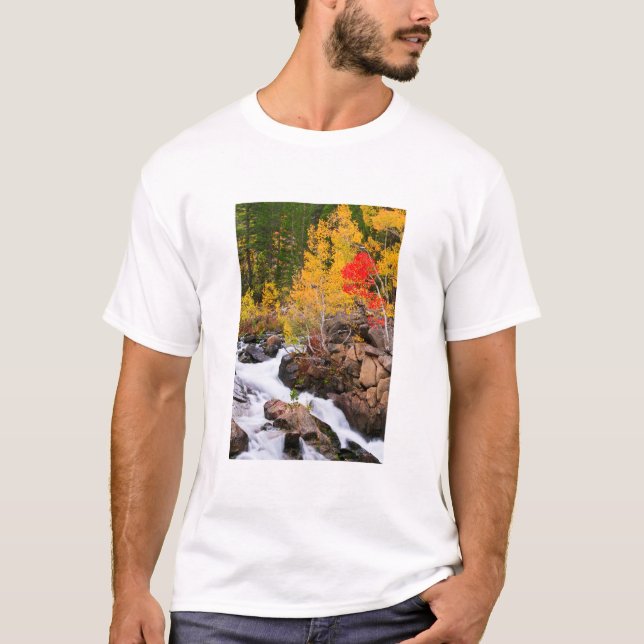 Höstfärger längs Bishop Creek, CA Tee Shirt (Framsida)