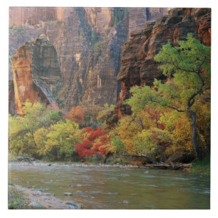 Höstfärger längs Virgin River nära ingången till Kakelplatta