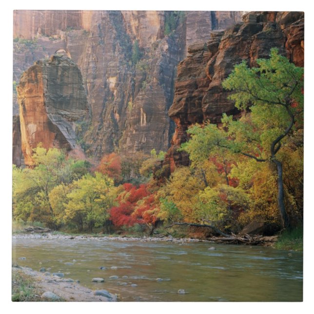 Höstfärger längs Virgin River nära ingången till Kakelplatta (Framsidan)