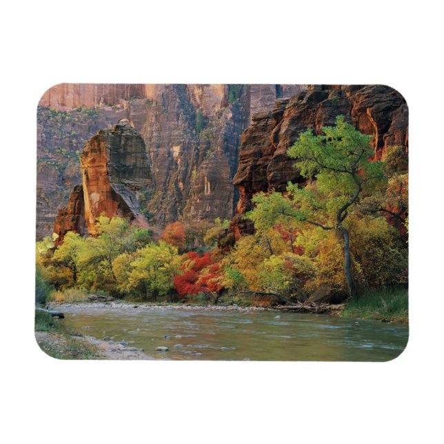 Höstfärger längs Virgin River nära ingången till Magnet (Horisontell)