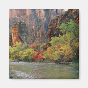 Höstfärger längs Virgin River nära ingången till Magnet