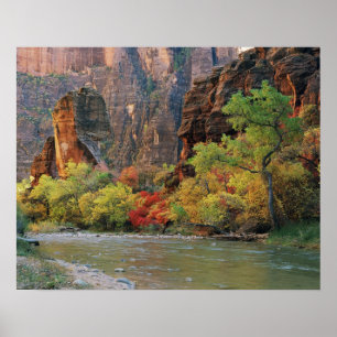 Höstfärger längs Virgin River nära ingången till Poster