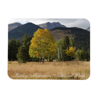 Höstfärger Mummy Range Rocky Mtn National Park Magnet