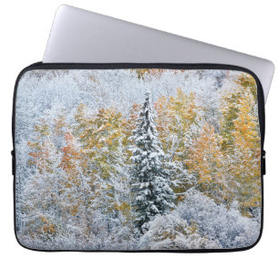 Höstfärger på asp och snö Keebler Pass Laptop Fodral
