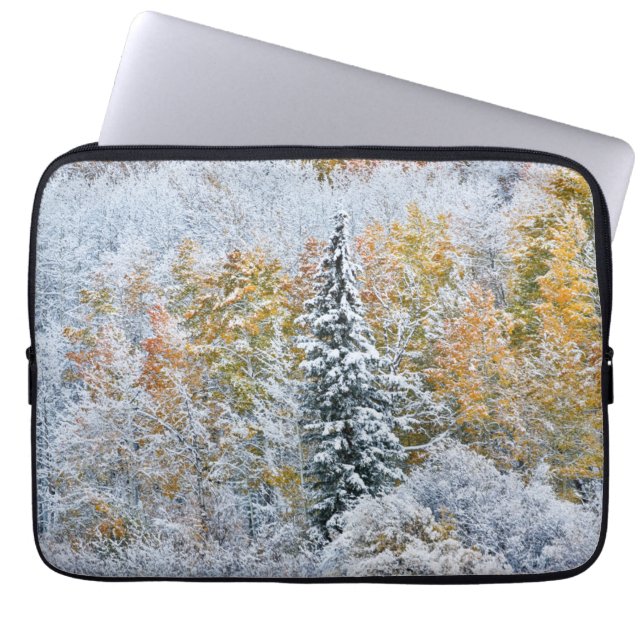Höstfärger på asp och snö Keebler Pass Laptop Fodral (Framsidan)