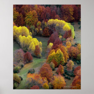 Höstfärger Poster