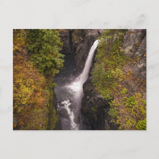 Höstfärger vid Elk Falls Vykort (Framsida)