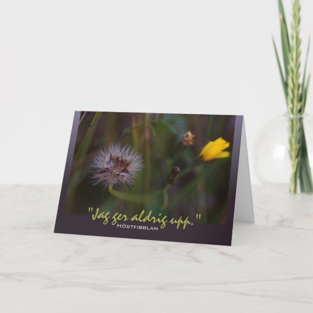 Höstfibblan Jag ger Aldriupp CC0780 Kort (Framsida)