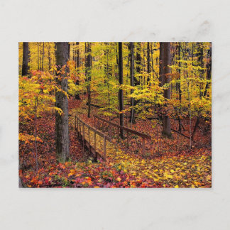 Höstfotbro,vykort Vykort