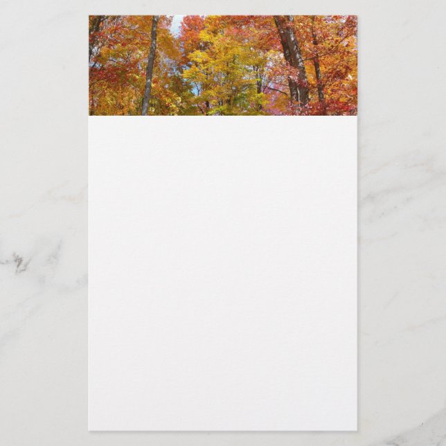 Höstfoto för orange och Gult för fallande Träd Brevpapper (Framsida)