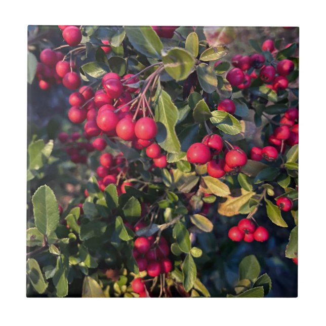 Höstfrukt Kakelplatta (Framsidan)