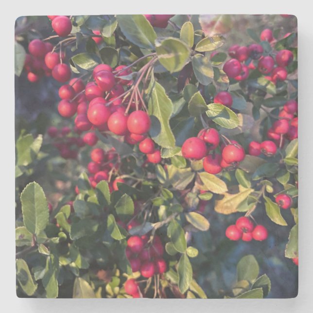 Höstfrukt Stenunderlägg (Framsidan)