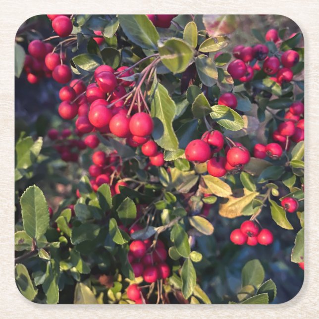 Höstfrukt Underlägg Papper Kvadrat (Framsidan)