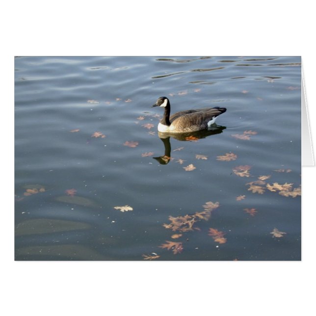 Höstgästkort Hälsningskort (Framsidan Horizontal)