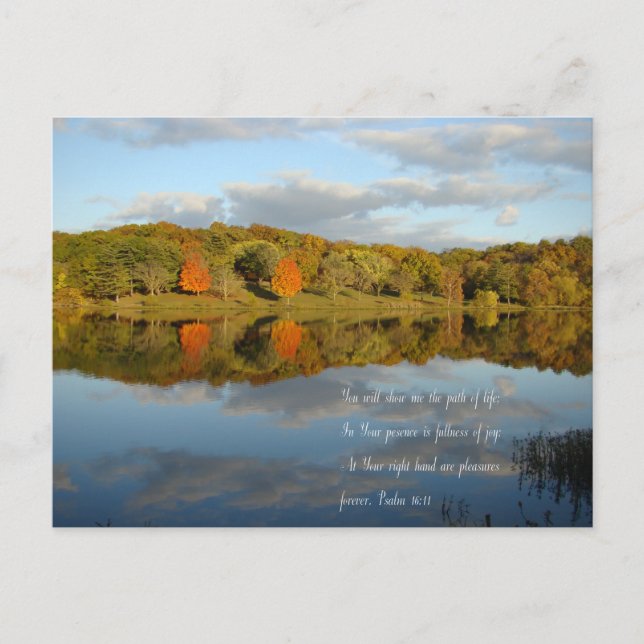 Höstglädjer Vykort (Framsida)