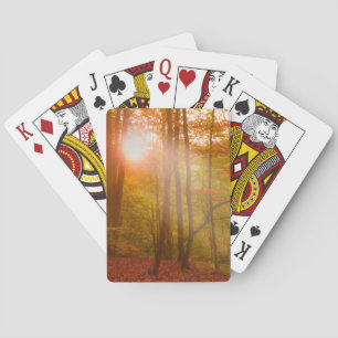 Höstglans Casinokort