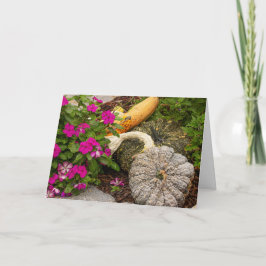 Höstgourder & Balsamin Välkomstkort Kort