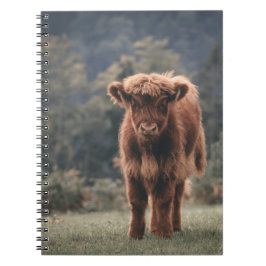 Höstgräs från höstkalv, fält anteckningsbok