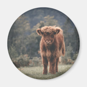 Höstgräs från höstkalv, fält magnet