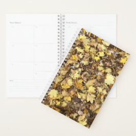 HöstGultens Löv-samling