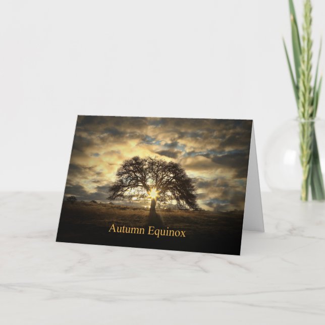 Höstjämning Mabon Ek Solstjärna Kort (Framsida)