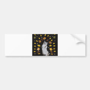 höstkatt bildekal