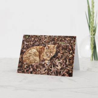 Höstkatt Kort