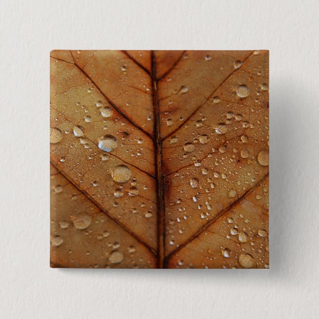 Höstknapp Knapp (Framsida)