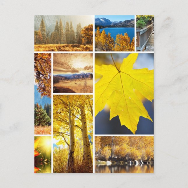 Höstkollage Vykort (Framsida)